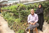 گلخانه&zwnj;داری در حیاط ۷۰ متری