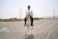 سعید سجادی، از افت‌وخیزهای سوارکاری درس می‌گیرد