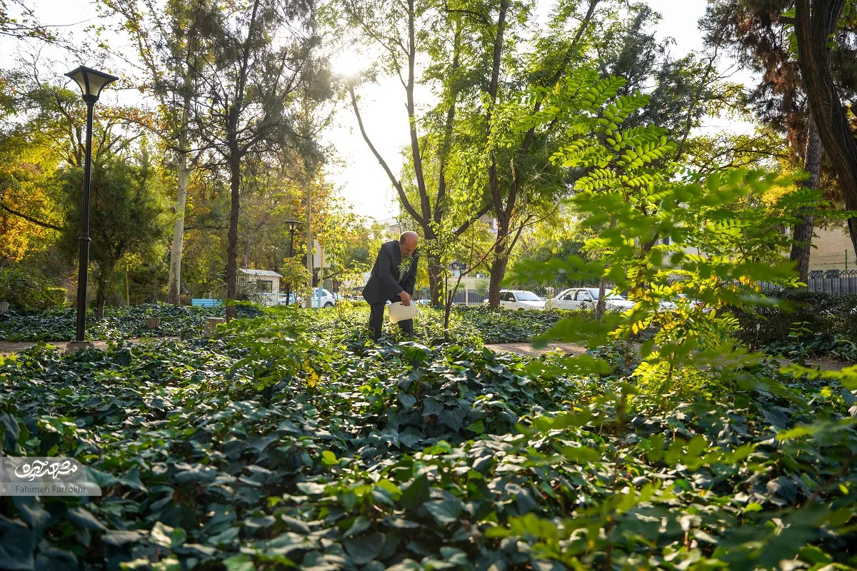 باغبان