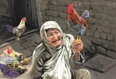 مونس خاله شهربانو، مرغ و خروس&zwnj;هایش هستند!