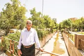 درختان کال نسترن، اولاد من هستند
