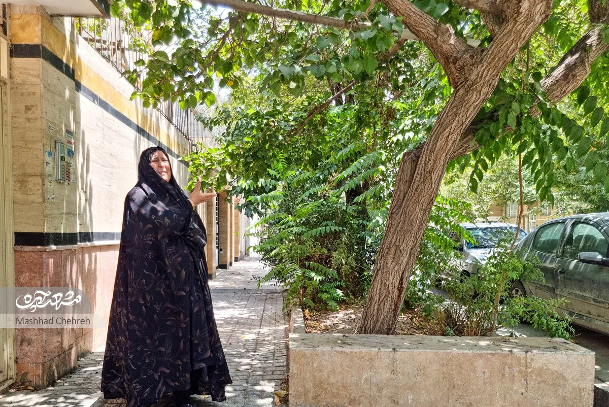 محله گردی محله گردی