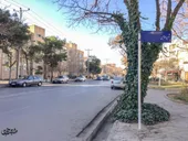 کوچه سرسبز شهید طالبی