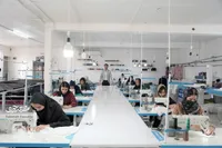کارآفرینی جوان ۳۰ ساله برای ۳۷ نفر