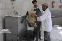 حعفر صنوبری با نبات‌هایش، روزگار را شیرین کرده است!