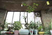 به وقت اشتغال‌زایی 