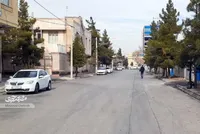 سرسبزی کوچه استادیوسفی ۱۲ هدیه آقا نعمت‌الله است