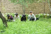 پسرانِ کارهایِ بزرگ 