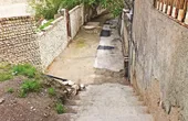 از کوچه پله و عشاق تا ملک&zwnj;الشعرای بهار&zwnj;۲۳