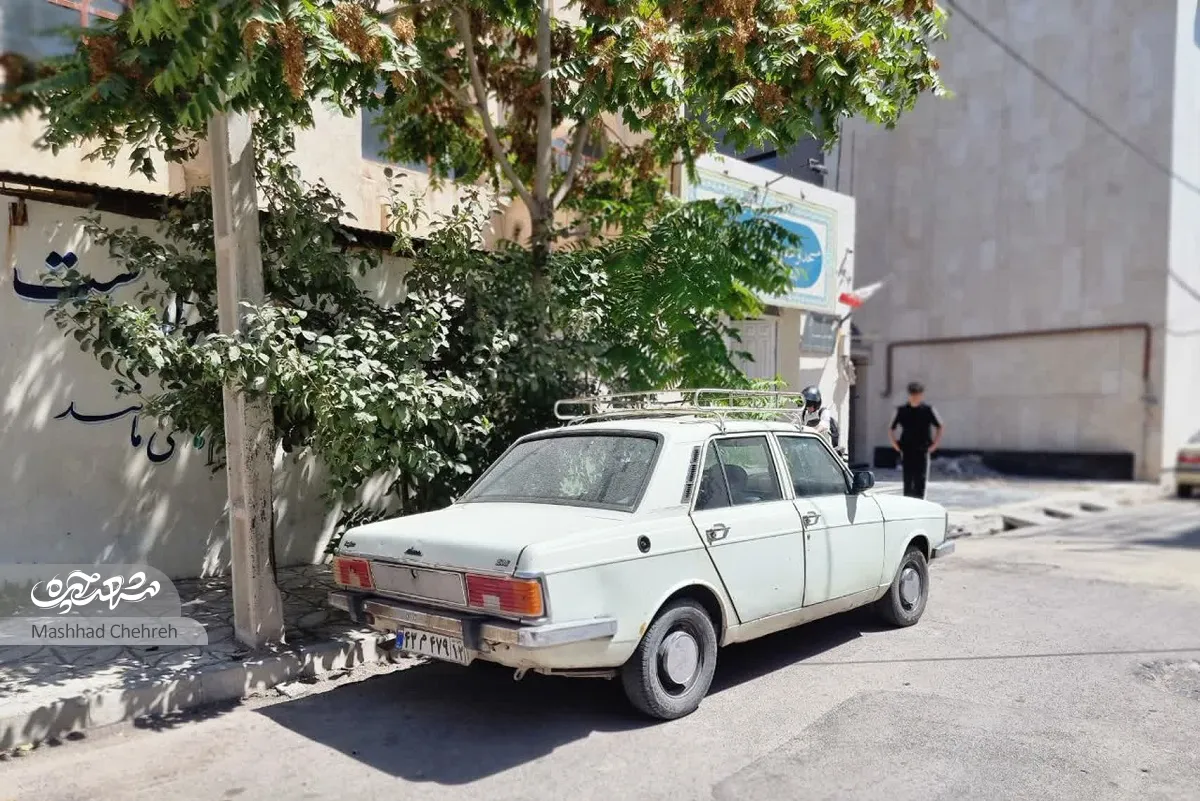 خیابان صدف