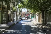 درخت&zwnj;ها در کوچه شهیدحسینی محراب تک مانده&zwnj;اند