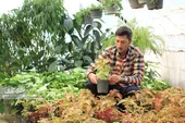 کارآفرینان برتر گلخانه&zwnj;داری، با دست خالی کارشان را شروع کردند