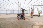 اسکان در همسایگی حرم