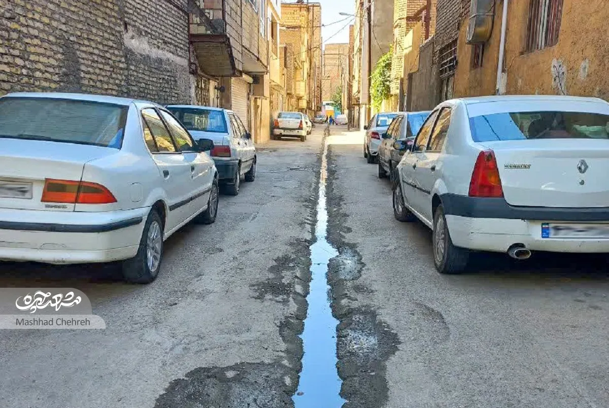 کوچه طبرسی‌شمالی۲۴