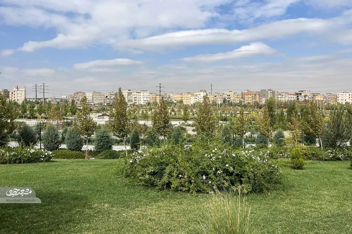 محله گردی