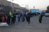 ۲۲ سال میزبانی فراشان امام رضا(ع) از زائران پیاده