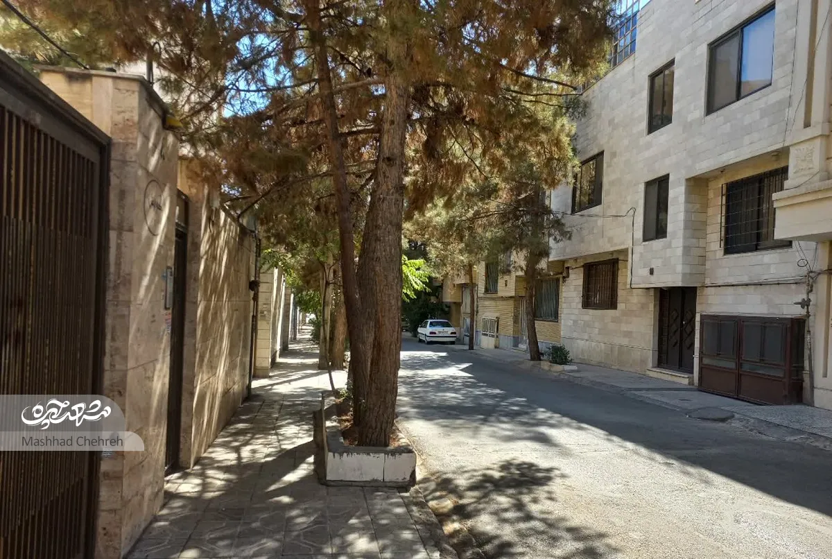 محله گردی محله گردی