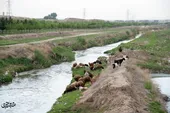  مرگ تدریجی کشف&zwnj;رود اساطیری