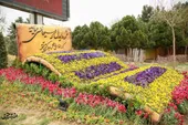مژده ای دل که مسیحا نفسی می&zwnj;آید