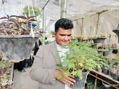 گلخانه&zwnj;داری دانش&zwnj;آموز استثنایی محله سیس&zwnj;آباد