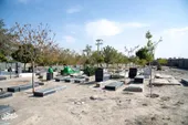 قدم&zwnj;زدن در قبرستان قدیمی حاجی&zwnj;آباد