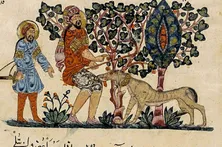 مشهد یک قرن پیش در برابر بیماری هاری بی‌سلاح بود!
