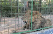باغ&zwnj;وحش، جاذبه&zwnj; پرمشکل مشهد