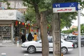 یاد شهدا در این کوچه سرسبز، سبز است