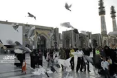 زائران تا مشتی گندم برای کبوتران نمی&zwnj;ریختند از خدا روزی طلب نمی&zwnj;کردند