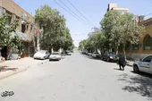 کوچه شهید حسنی، کوچه قهرمانان 