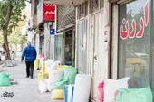 مصلی 2،کوچه خوراک دام و طیور 