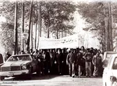 مینی&zwnj;بوسی که ما را به انقلاب رساند 