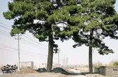 روایتی از همه یادگاری&zwnj;هایِ قاسم&zwnj;آبادِ قدیم