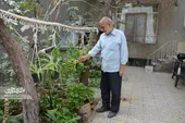 از اینکه پسرم را به جبهه بردم ناراحت نیستم