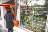 بانکی سبز با نمای گل&zwnj;فروشی!
