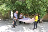 برکت درختان سیصدساله توت برای اهالی حاجی&zwnj;آباد