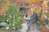 نویسندگی در کنار گیاهان گلخانه&zwnj;