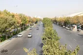 اشتراک چند شریان در خیابان شهید کامیاب 
