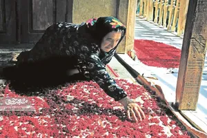 img-profile-author