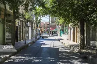 درخت‌ها در کوچه شهیدحسینی محراب تک مانده‌اند
