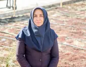 مبدع اولین پارک کم نهاده کشور، از سبز شدن ثمره عمرش در الهیه می&zwnj;گوید 