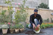 جواد اسماعیلی تولیدکننده گل و گیاه در محله لادن است