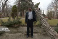 محمدعلی سلطانی عمری با درخت‌ها زندگی کرده است