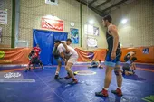 بیدی نبودم که با این بادها بلرزم