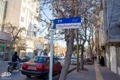 کوچه شهید علیمردانی، قدیمی و ریشه&zwnj;دار