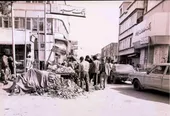 چهارسوق نوغان، یتیم بچه جدا افتاده از مادر 