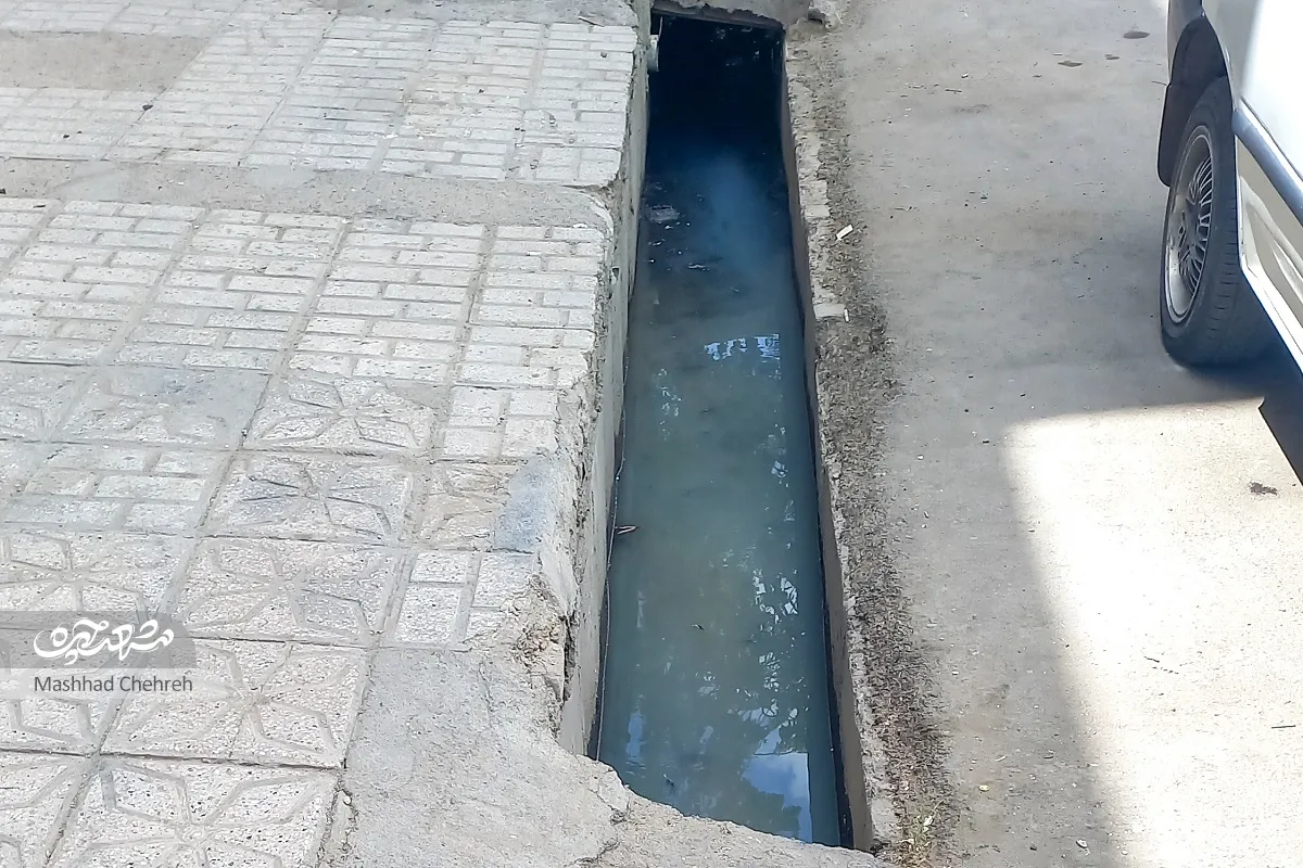 کوچه های مشهد کوچه های مشهد
