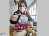 جشنواره غذا سیما را شاغل کرد