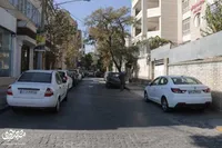 همدلی اهالی در فلسطین14