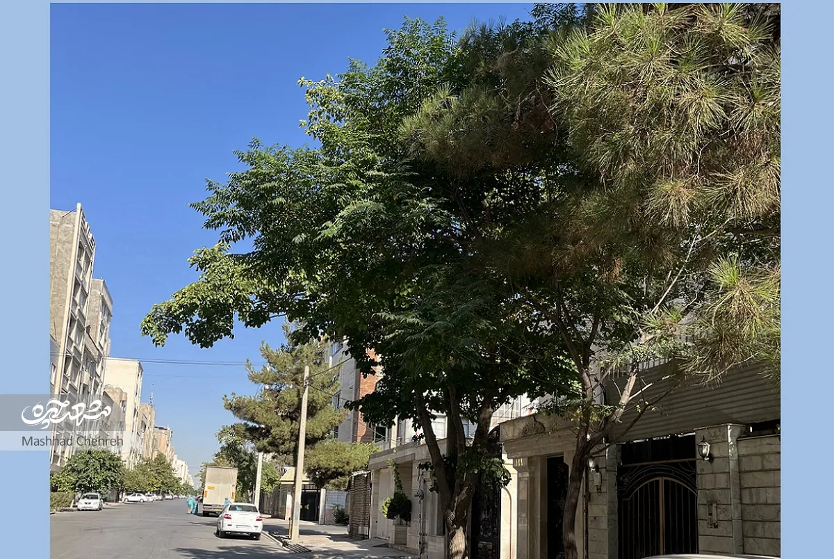 محله گردی محله گردی
